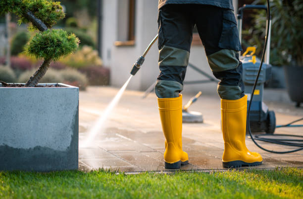 Best Best Pressure Washing Companies  in Springfield, KY